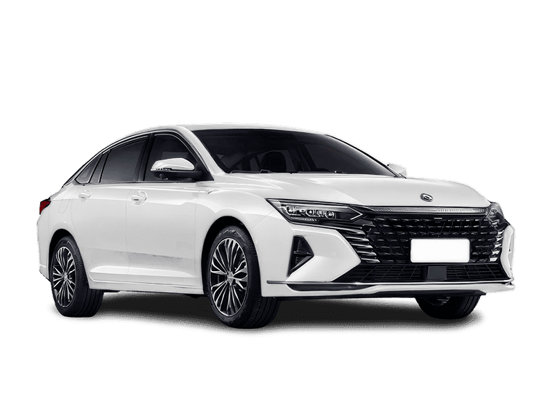 Dongfeng Huge - Изображение №22